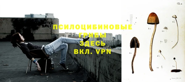 крисы Покров